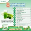 Thực phẩm bổ sung bột Cần tây – diệp lục Green Filter Celery